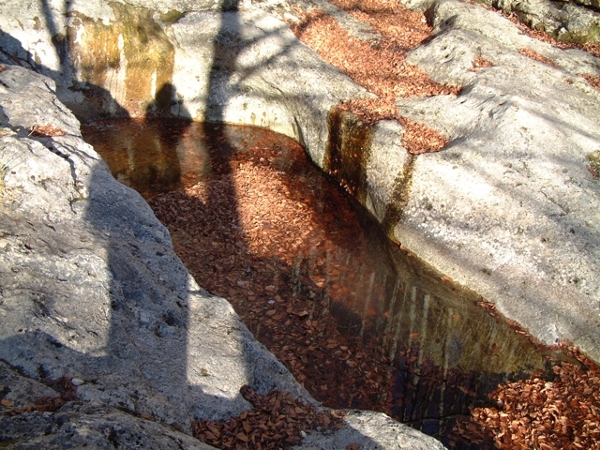 Torrente d''inverno